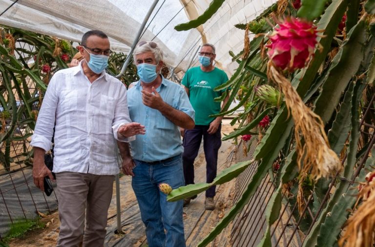 Diputación muestra su apoyo a la Cooperativa Pitaya de Andalucía, impulsada desde la provincia de Huelva
