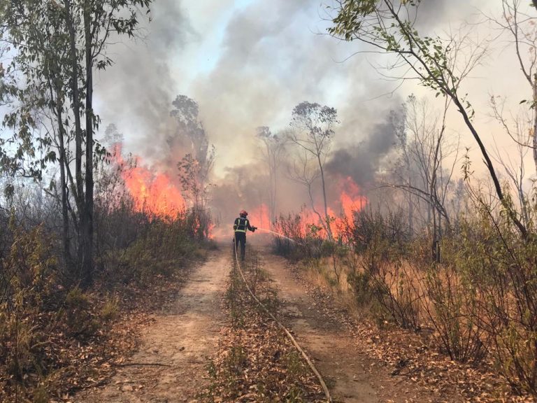 El Consorcio de Bomberos realiza 33 intervenciones en el fuego de Almonaster y otras 45 en la provincia