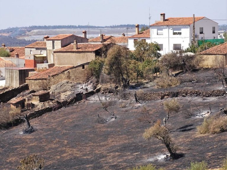 Piden a la Junta una oficina técnica de atención a los afectados por el incendio de Almonaster