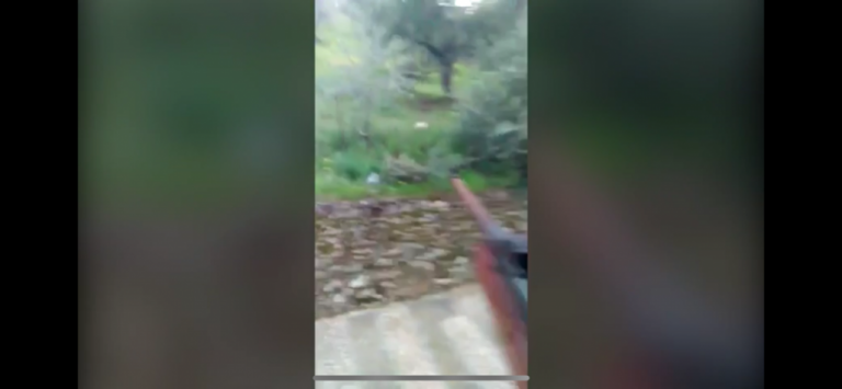 Detenido en Aroche tras publicar en redes como mataba a un gato desde su balcón