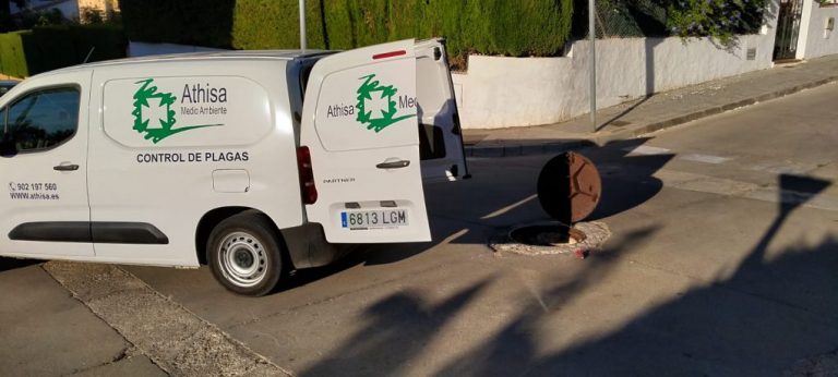 Ayamonte declara la guerra a las ratas