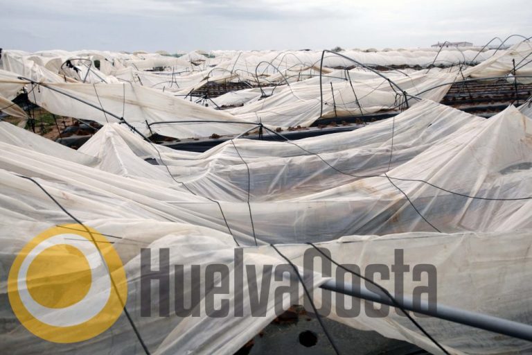 Los últimos tornados causan daños por valor de 300.000 euros en 235 parcelas agrícolas de Huelva