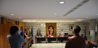 El pleno pide a la Junta mejoras sanitarias en Punta Umbría y en El Portil