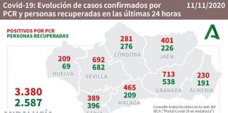 Huelva (74), Aljaraque (18), Gibraleón (14) y La Palma (14), pueblos más afectados por los 209 casos de este miércoles