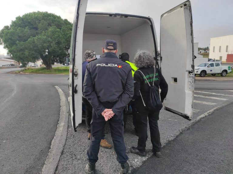 Incautan en Isla Cristina más de una tonelada de almeja ilegal procedente de Portugal