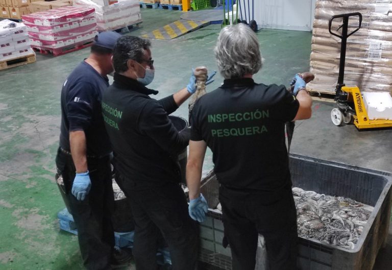 Incautada una tonelada de pulpo sin documentación en Isla Cristina