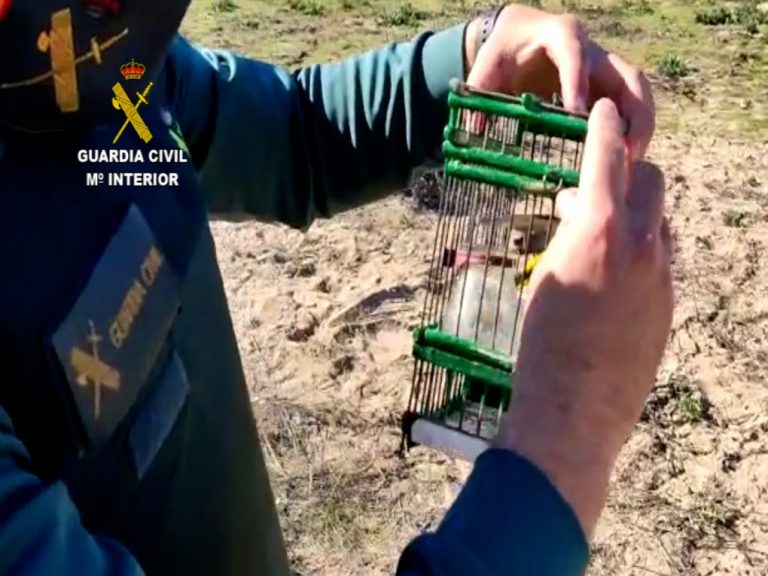 Investigan a dos personas por caza ilegal de aves en las marismas de Isla Cristina