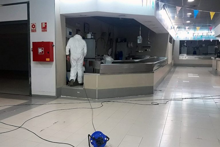 Cartaya intensifica la limpieza y desinsectación del Mercado de Abastos