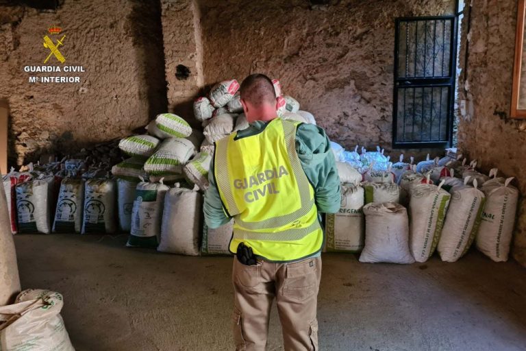 Investigan a 16 personas por robo de castañas en la Sierra de Huelva y recuperan 425 kilos recogidos ilegalmente