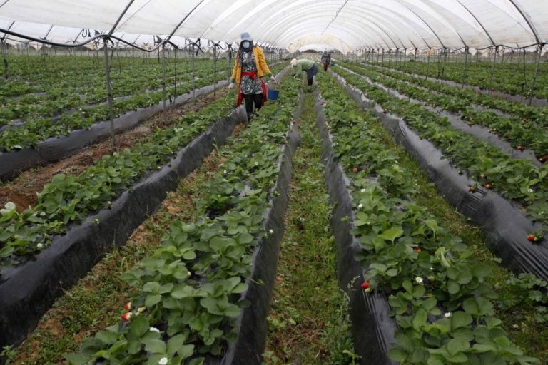 El paro baja en Huelva 750 personas en febrero y deja el número de desempleados en 33.306