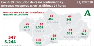 Huelva (7), Cartaya (3), Isla (2) y Palos (2), pueblos más afectados por los 26 casos de este martes