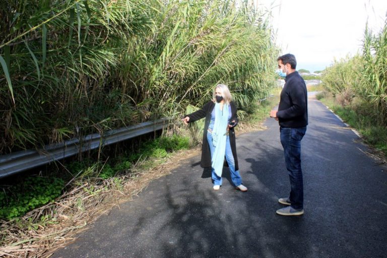Cartaya invierte 110.000 euros en la mejora de cunetas en los caminos rurales