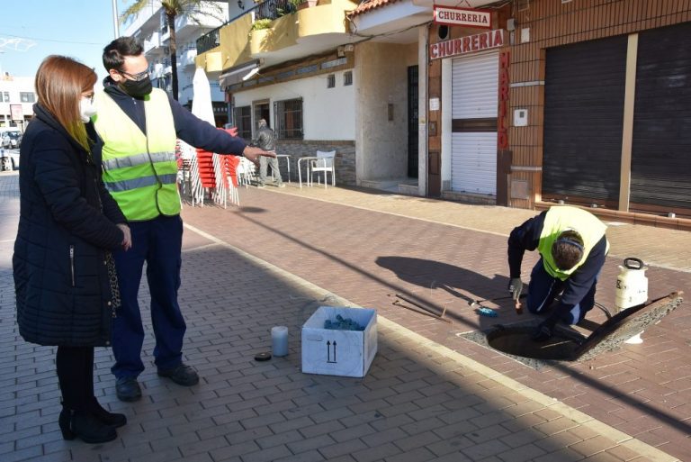El Ayuntamiento inicia un plan de choque contra ratas y cucarachas en Punta y El Portil