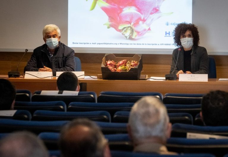 Diputación dedica una jornada técnica al cultivo en Huelva de la pitaya