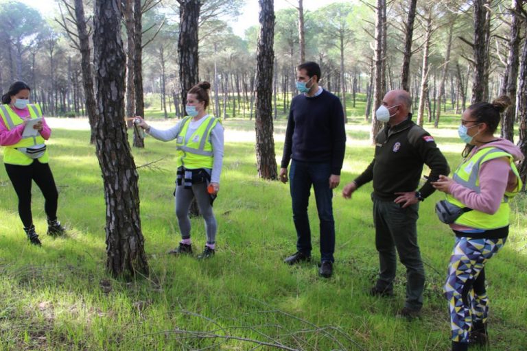 Cartaya señaliza los pinos de su monte común para optimizar el aprovechamiento sostenible de la madera