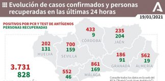 Isla (35), Huelva (30), Cartaya (17) y Lepe (16), municipios más afectados por los 202 casos de este martes