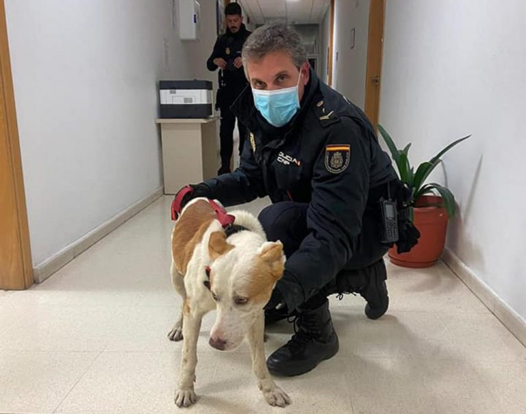 Un policía nacional de Cartaya participa en Huelva en el rescate de un perro que se perdió el sábado en Villamanrique