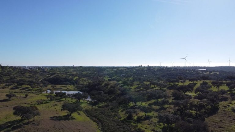 San Silvestre inicia un proyecto ambiental para fomentar la biodiversidad en el municipio
