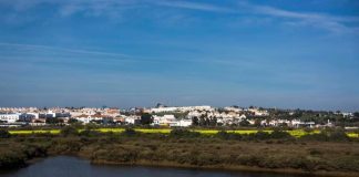 Ayamonte acometerá labores de limpieza en marismas de alto valor ecológico del municipio