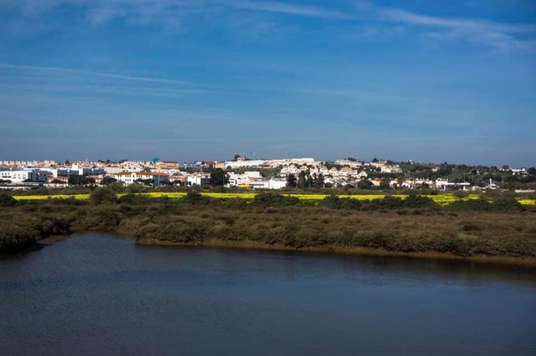 Ayamonte acometerá labores de limpieza en marismas de alto valor ecológico del municipio