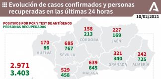 Huelva (44), Almonte (17) y Punta (15), municipios más afectados por los 170 casos de un miércoles con 14 fallecidos