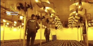 Trece detenidos en Lepe, Villablanca y Ayamonte, en el desmantelamiento de una red criminal dedicada al tráfico de marihuana