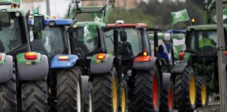 Una empresa agrícola busca un tractorista para trabajar en Lepe