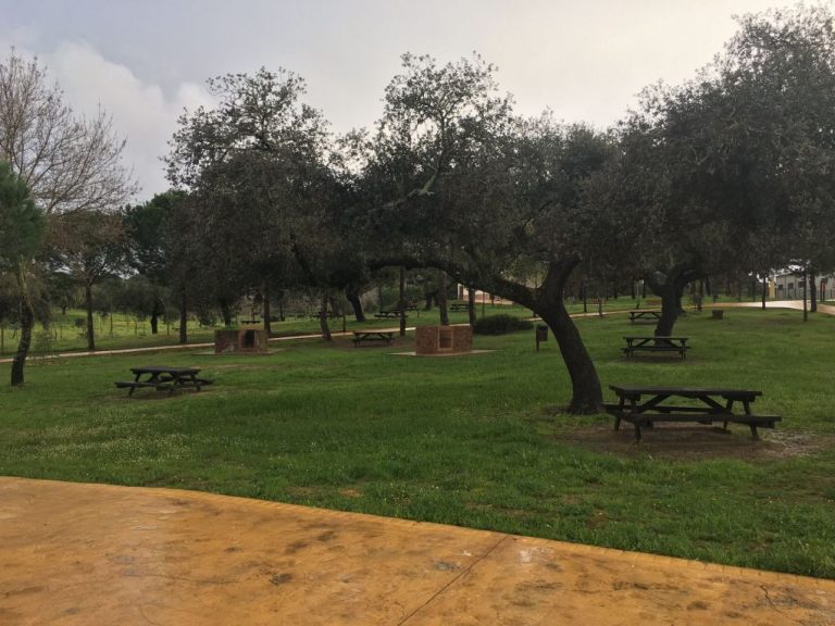 San Bartolomé plantará un árbol por cada niño que nazca en el municipio
