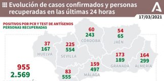 Huelva (7), Isla (5), Lepe (4) y Puebla (4), municipios más afectados por los 37 casos de un miércoles con 13 fallecidos
