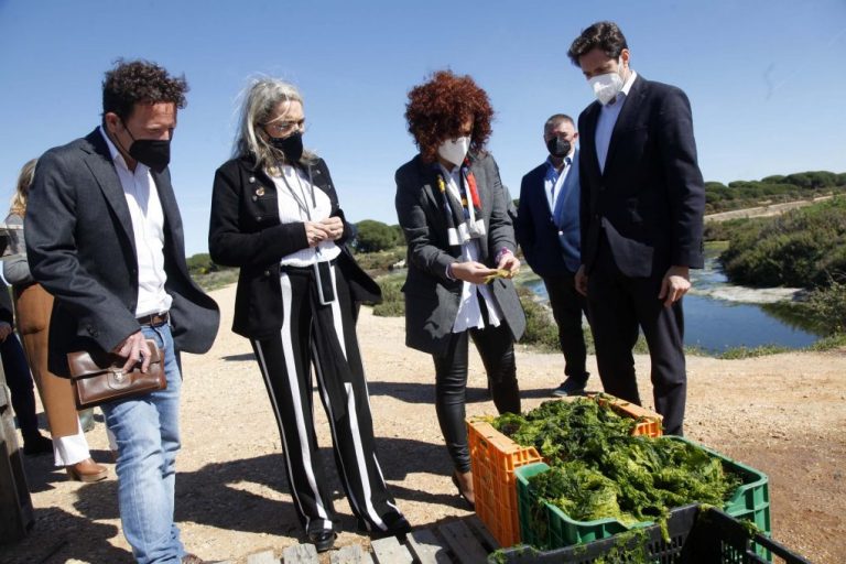 Ayuntamiento y Diputación ponen en valor la producción de algas para consumo humano en Cartaya
