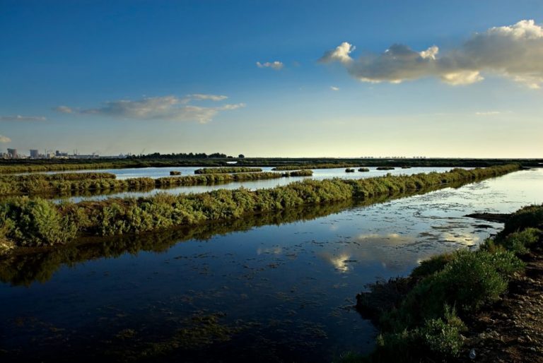 La Diputación de Huelva participa en un estudio europeo para la conservación de la biodiversidad del litoral onubense