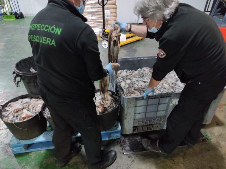 La Junta decomisó en Huelva casi 48 toneladas de productos pesqueros ilegales durante 2020