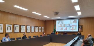 El Pleno de Isla Cristina pide a la Junta una «solución definitiva» a los vertidos en las marismas