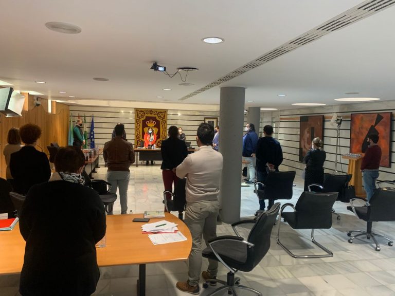 El Pleno de Punta aprueba crear un directorio de artistas y deportistas locales en plataformas municipales