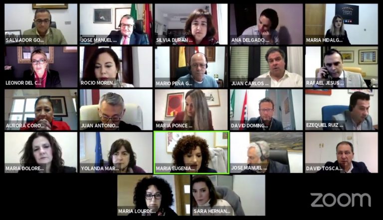 El Pleno de la Diputación de Huelva se suma al Día de la Mujer abogando por un Pacto por los cuidados