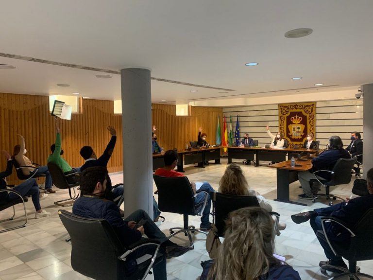 El Pleno de Punta defiende la gestión del Gobierno local en la tramitación del proyecto de la Avenida Ciudad de Huelva