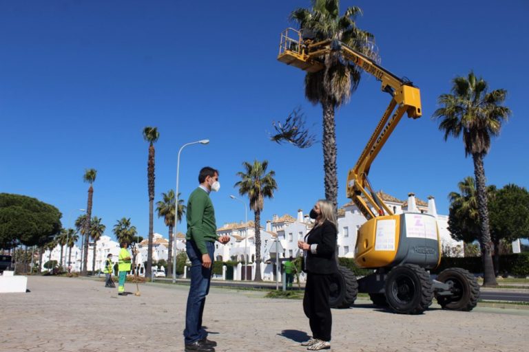 El Ayuntamiento de Cartaya acomete la poda de las palmeras y arbolado en Nuevo Portil