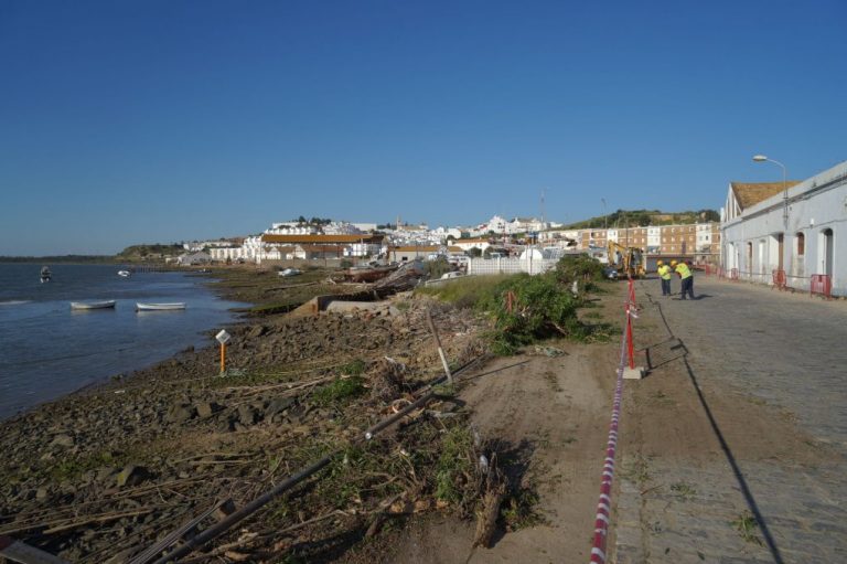 Retiran los setos que impedían las vistas al Guadiana desde el Muelle Norte de Ayamonte