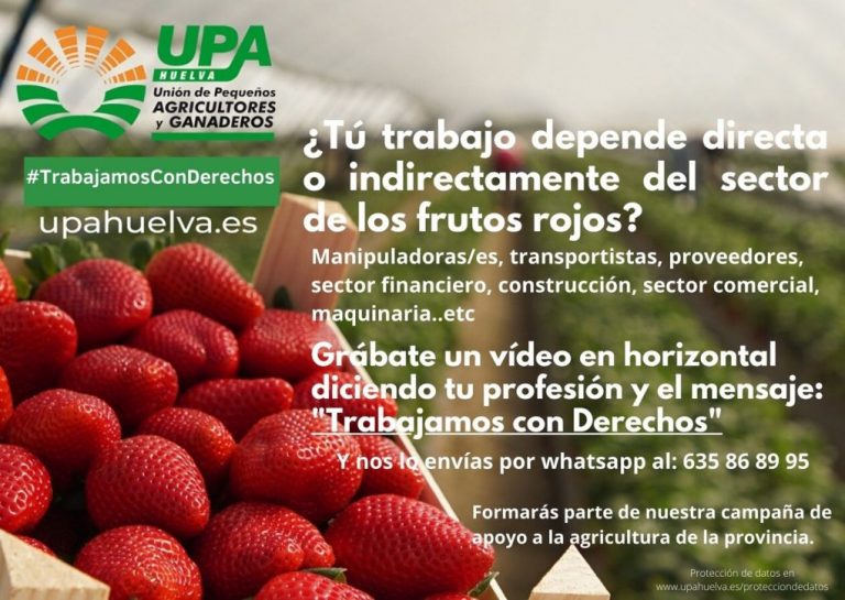 Artistas onubenses unen sus voces en un vídeo en apoyo al sector de los frutos rojos