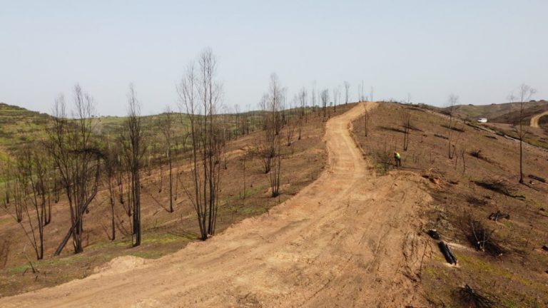 Diputación acomete la restauración forestal de la finca Los Balcones tras el incendio de Almonaster