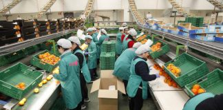 Satisfacción por el descenso del paro en Cartaya en 340 personas en marzo