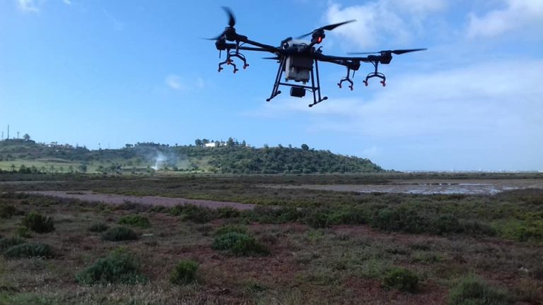 Ayamonte incorpora un dron para acceder a puntos difíciles en el plan de control de mosquitos