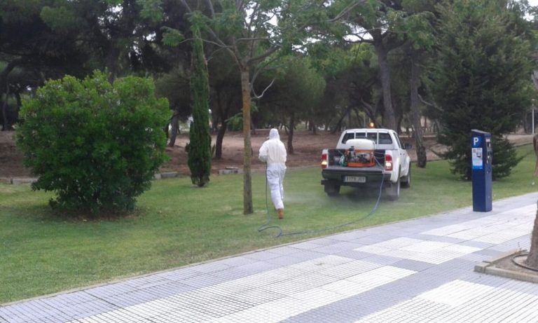 Punta Umbría inicia su campaña de control de mosquitos