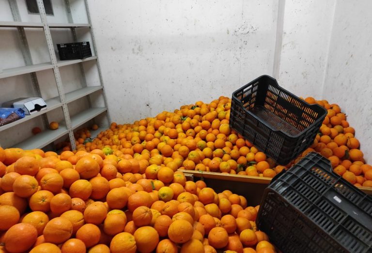 Incautan en el Torrejón 3.500 kilos de naranjas de procedencia desconocida destinadas a la venta ilegal