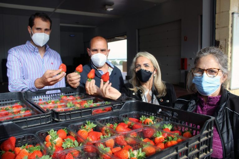 Ayuntamiento de Cartaya y Cartayfres se suman al Día Mundial de los Frutos Rojos