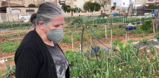 Huertos que dan mucha vida en Ayamonte huertos urbanos ayamonte