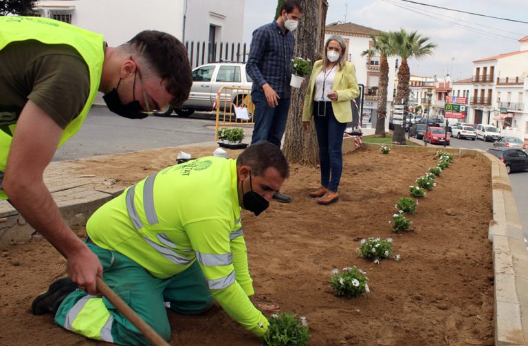 Cartaya repone las plantas de los jardines de Blas Infante y otras zonas verdes del municipio