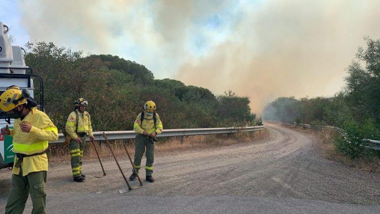 Controlado el incendio forestal declarado este domingo en Cartaya