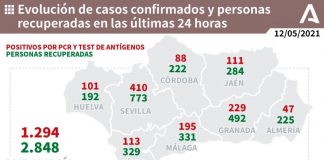 Huelva (30), Almonte (17) e Isla Cristina (10), municipios más afectados por los 101 casos de este miércoles