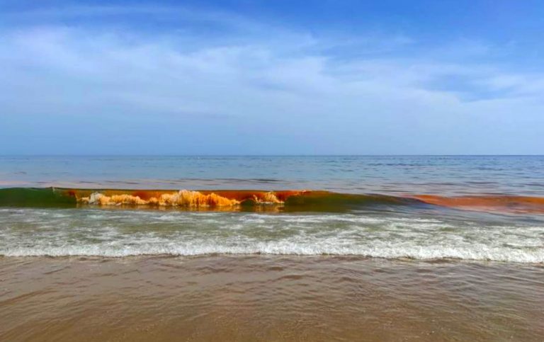 Una ‘marea roja’ sorprende a los bañistas en la playa de La Antilla
